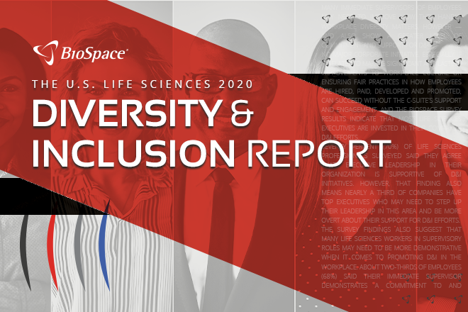 20201119 - Diversity and Inclusion Report - Web LP Image - 660x440